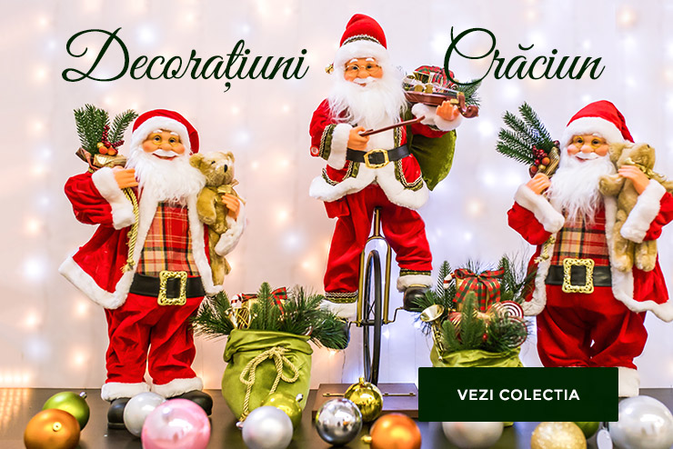 DECORATIUNI CRACIUN
