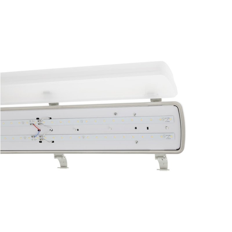 opportunity Evaporate Foreman CORP LED ETANS XPROOF 60W 6000K IP65 1.5M ARELUX