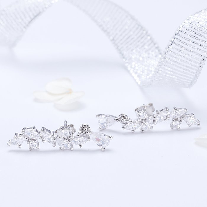 Cercei din argint Elegant Crystals Earrings