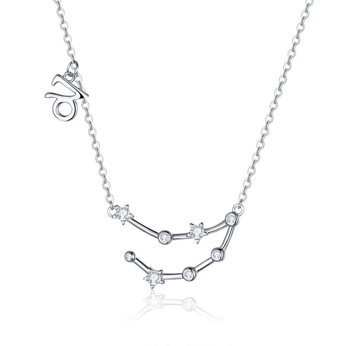 Colier din argint cu constelatia capricorn silver