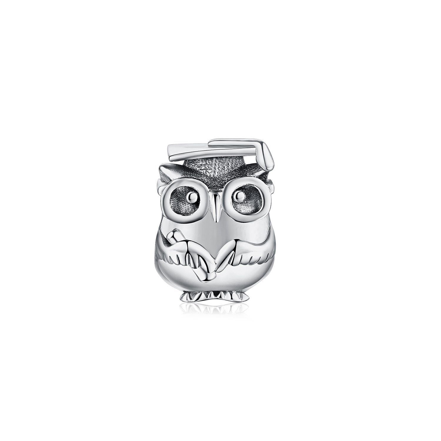 Talisman din argint wise owl