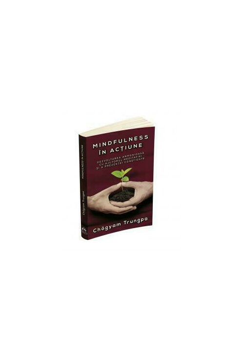 Mindfulness in actiune