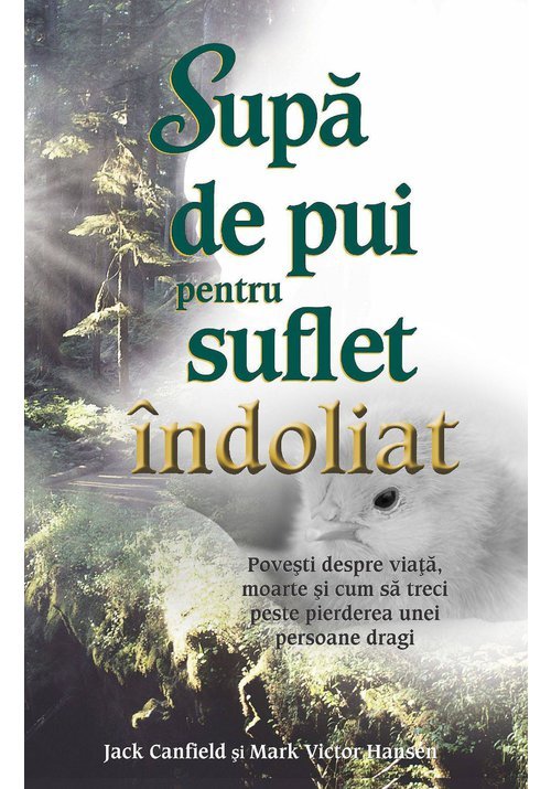 Supa de pui pentru suflet indoliat