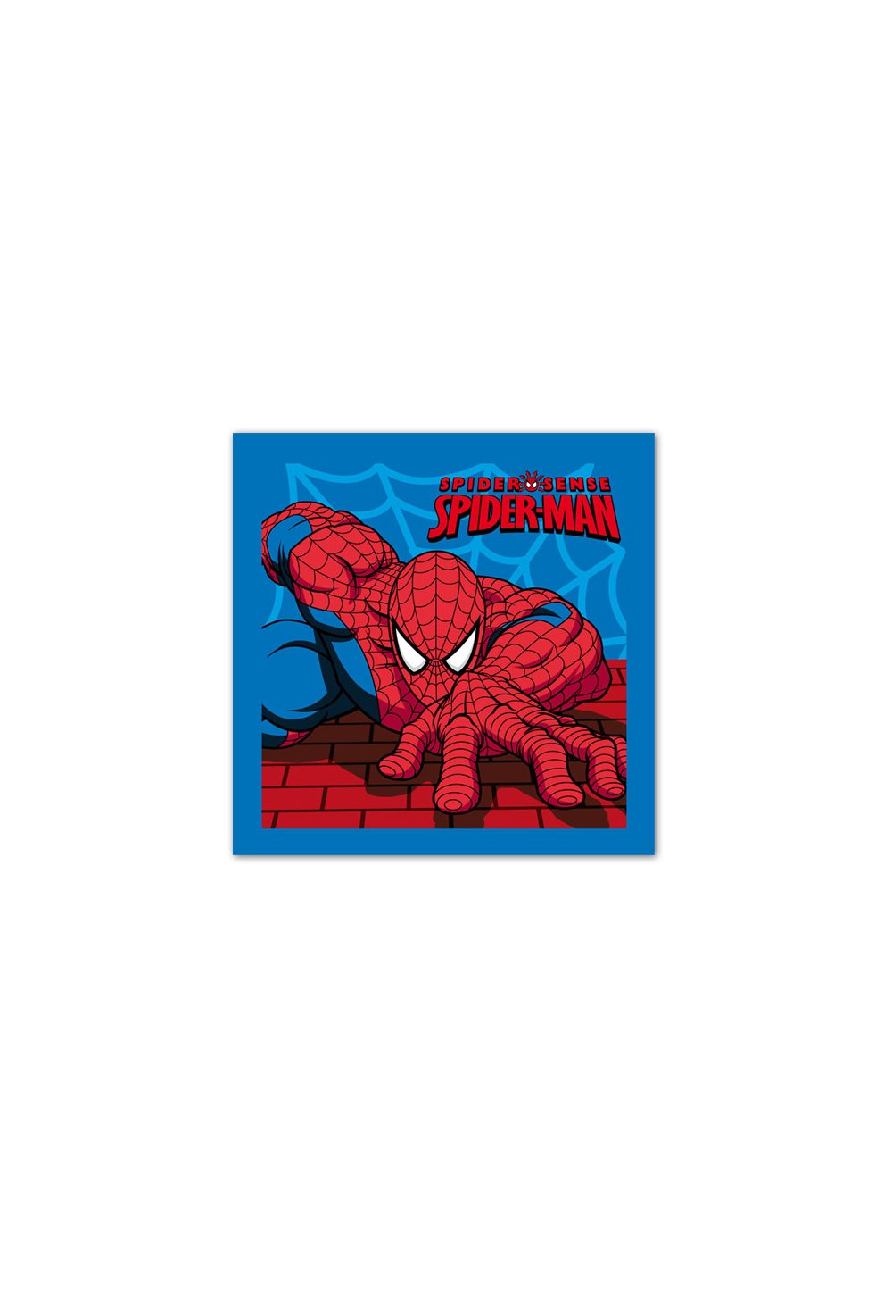 Prosop Spiderman 40 x 60 cm imagine
