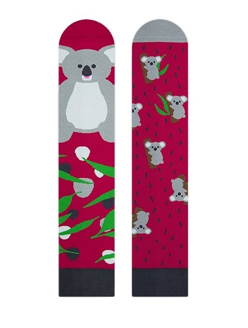 Sosete colorate Nanushki Lala Koala